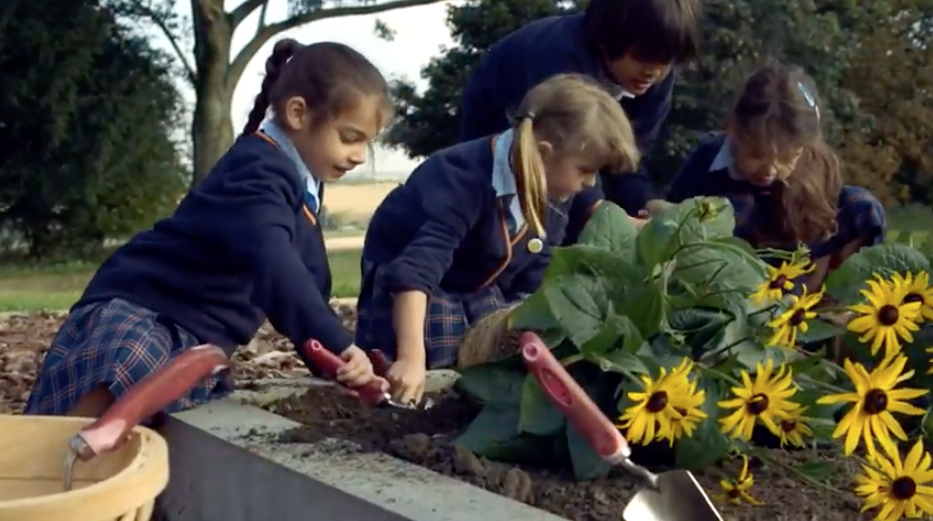 WATCH: St Swithun's Prep School Video